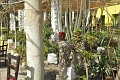 11 02 13_Egypt_0267
